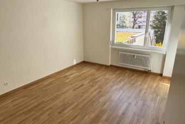 Frisch renovierte 3.5-Zimmerwohnung inkl. Waschturm im Gundeli-Quartier