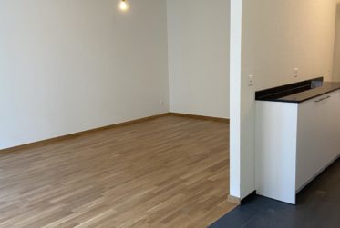 Frisch renovierte 3.5-Zimmerwohnung inkl. Waschturm im Gundeli-Quartier