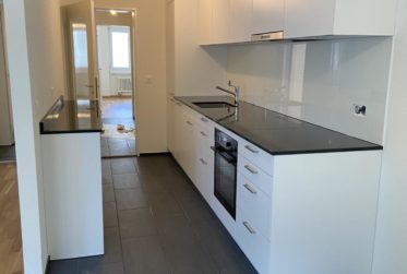 Frisch renovierte 3.5-Zimmerwohnung inkl. Waschturm im Gundeli-Quartier