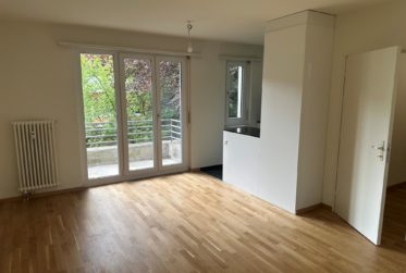 Frisch renovierte 2-Zimmerwohnung im beliebten Gotthelf-Quartier, nähe Schützenmattpark