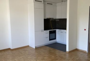 Attikawohnung im Herzen von Basel – sonnig, modern & stilvoll
