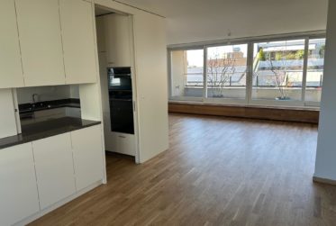 Erstvermietung: Frisch renovierte 6.5-Zimmer-Maisonettewohnung mit zwei Terrassen