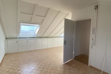 Erstvermietung: Frisch renovierte 6.5-Zimmer-Maisonettewohnung mit zwei Terrassen