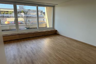 Erstvermietung: Frisch renovierte 6.5-Zimmer-Maisonettewohnung mit zwei Terrassen