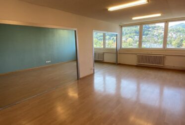 Moderne Büro-/Gewerbefläche in Muttenz zu vermieten - ca. 58 m² (Farnsburgerstrasse 8)