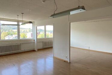 Moderne Büro-/Gewerbefläche in Muttenz zu vermieten - ca. 59 m² (Farnsburgerstrasse 8)