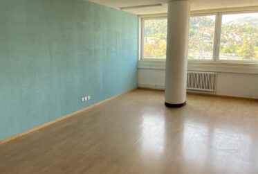 Moderne Büro-/Gewerbefläche in Muttenz zu vermieten - ca. 58 m² (Farnsburgerstrasse 8)
